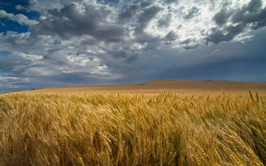 Visualizing a Turning Point