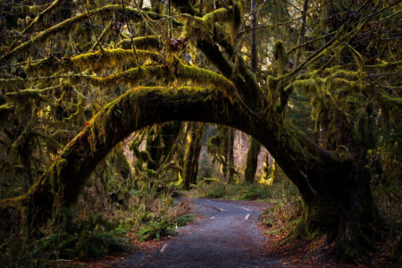 Living Gateway
