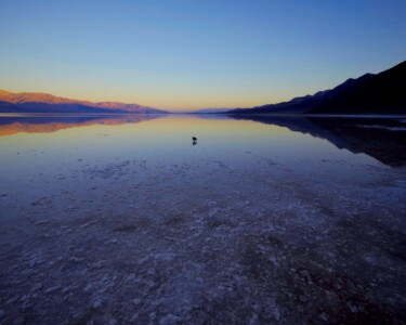 Mirror Salt Flats A rare rainfall in Death Valley National Park created this shallow lake in Badwater Basin, where a lone bird floats amid an endless salt flat that stretches to the horizon