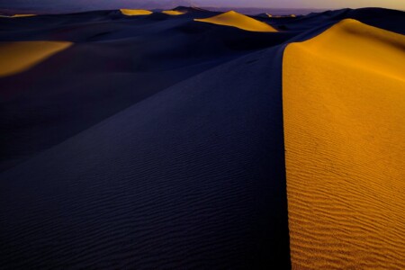 Dune Horizon