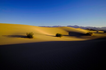 Mesquite Dunes Morning