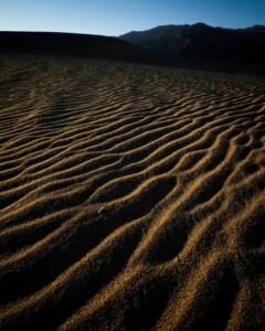 Ripples The long rays of first light accentuate the ripples the wind makes in the sand dunes of Death Valley National Park