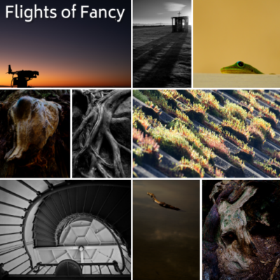 browse the Flights of Fancy collection