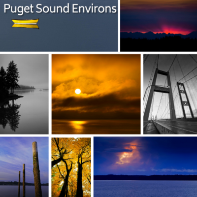 browse the Puget Sound Environs collection
