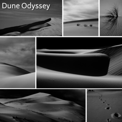 browse the Dune Odyssey collection
