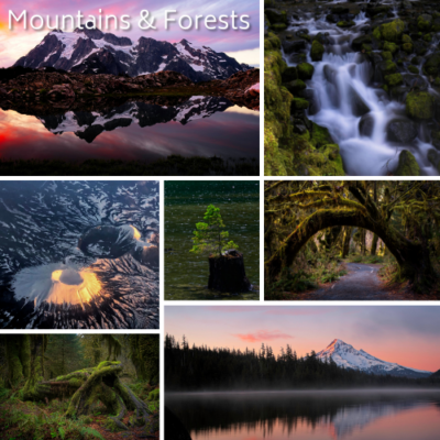 browse the Mountains & Forests collection