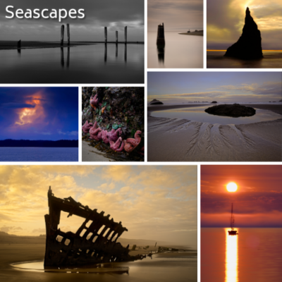 browse the Seascapes collection
