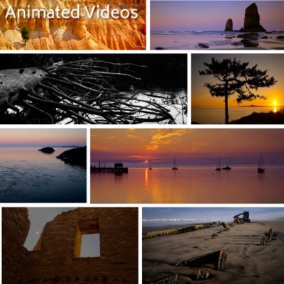 browse the Animated Videos collection